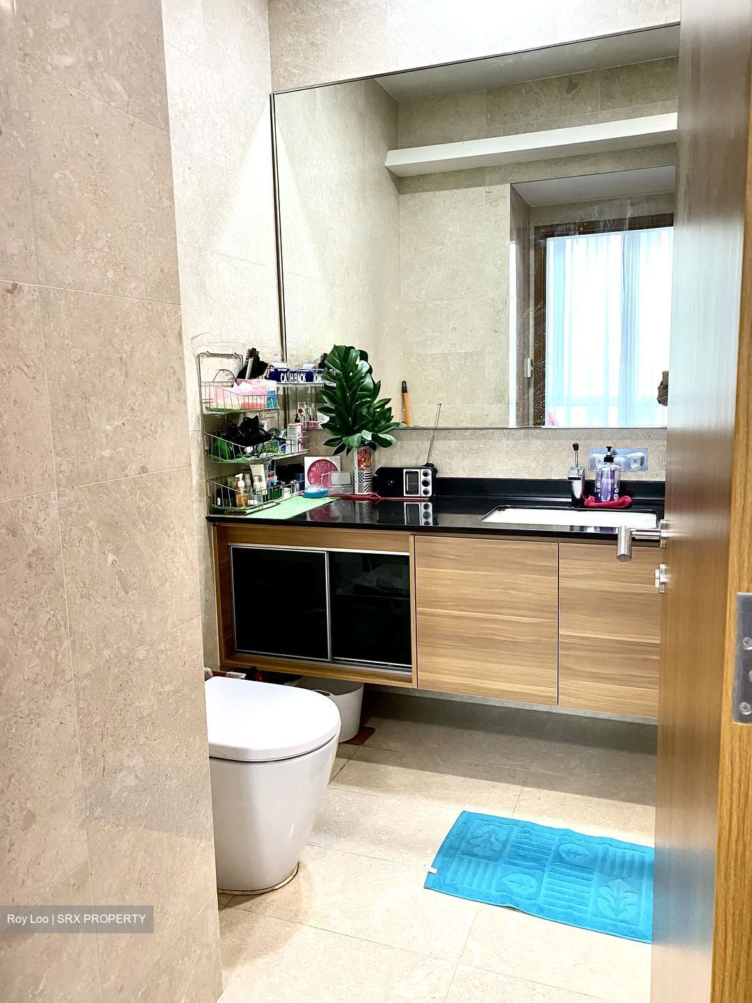 Watertown (D19), Apartment #353319511